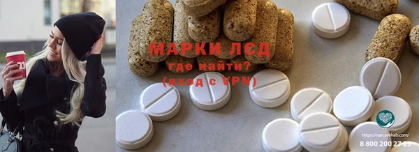 стаф Апатиты