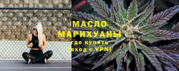 мет Инсар