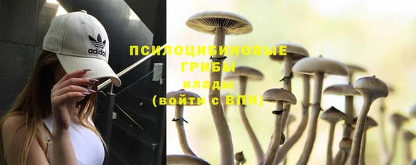 альфа пвп Иннополис