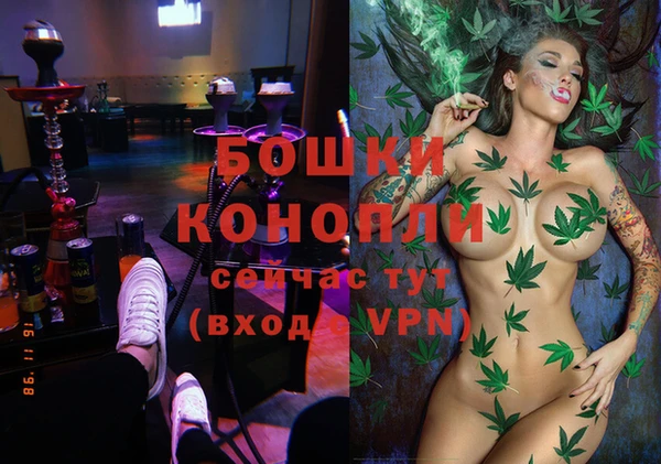 стаф Апатиты