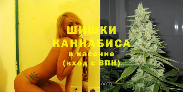 мет Инсар