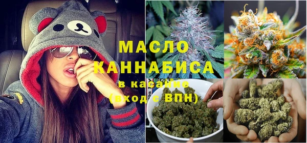 стаф Апатиты