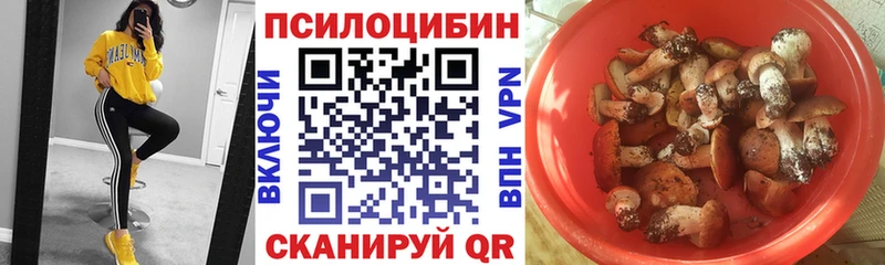 Псилоцибиновые грибы мицелий  OMG tor  Лебедянь 